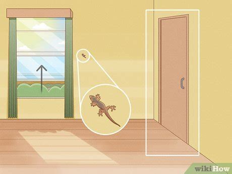 Scaly Squatters: 7 Steps To Reclaim Your Home From Unwelcome Reptilian Roommates