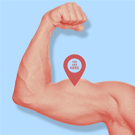 How to start weightlifting and strength training