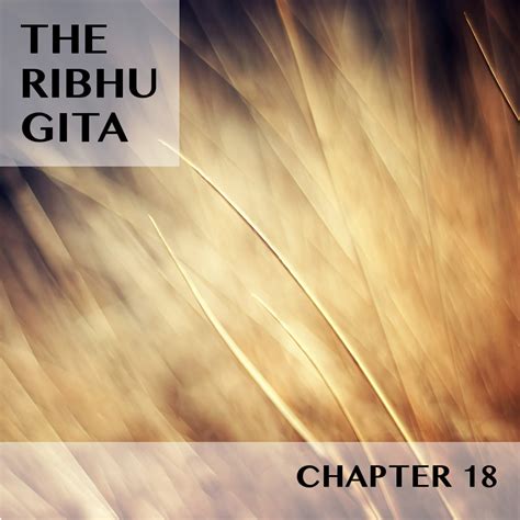 RIBHU GITA | CHAPTER 18 | SELECTIONS | PART 3 | SATYAVEDISM