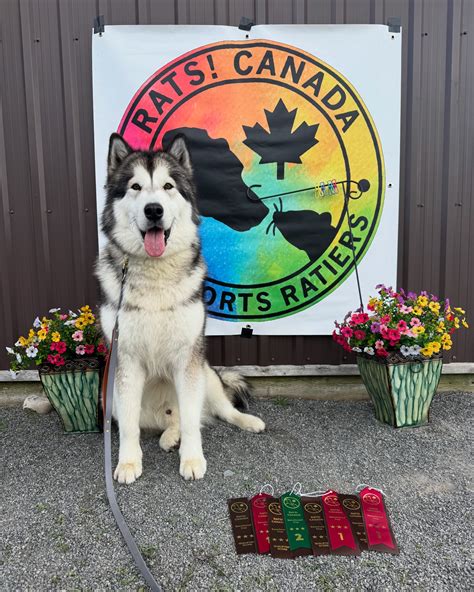 Aspen Hunter (@life_with_aspen_) • Instagram photos and videos