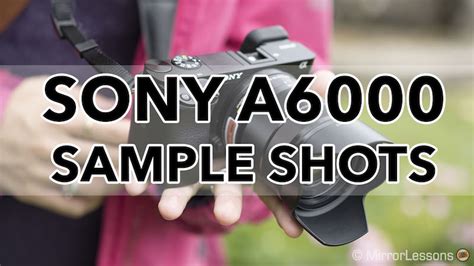 Gallery of Sony A6000 Sample Shots (RAW & SOOC JPGs) - Mirrorless ...