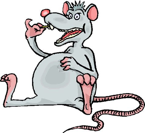 Cartoon Rat Pictures - Cute and Adorable Rat Illustrations