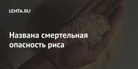 Названа смертельная опасность риса: Наука: Наука и техника: Lenta.ru