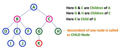 Data Structures Tutorials - Tree Terminology with examples