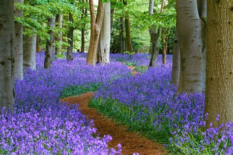 Garden | Fantastic Materials