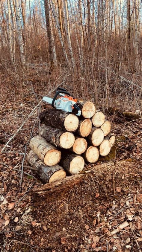 Stihl 170 vs 180: [Comparison Article] – firewoodquestions.com