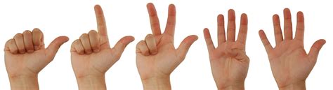 ways  genuine partnership synergy commons