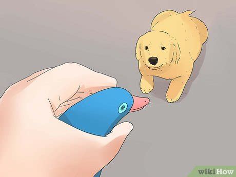 how to train a dog to hunt