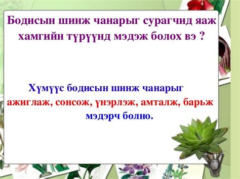 бодисын шинж чанар