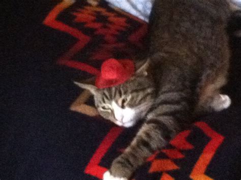 Pictures of Olivia Sprague