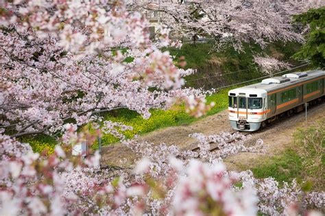 Prendre le train au japon | Notre guide - Au fil du Japon - Au fil du Japon