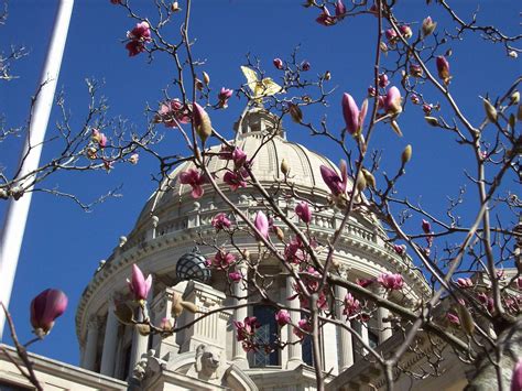 Adventure Report #1 | Making the mundane magical