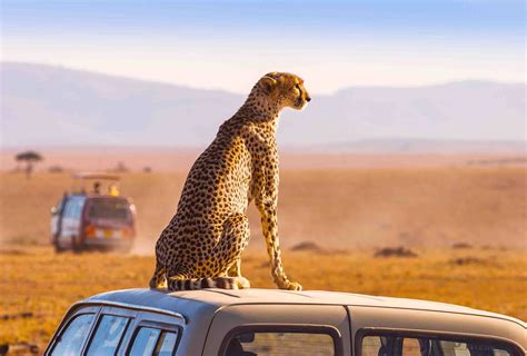 What Is South Africa Tourism at Albert Black blog