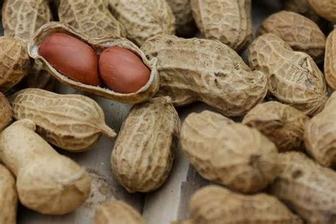 foto  oleh oleh  kampung ekowisata keranggan tangsel