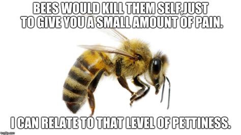 bee  memes gifs imgflip