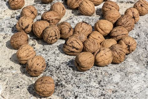 Walnuts Nuts Snack - Free photo on Pixabay - Pixabay