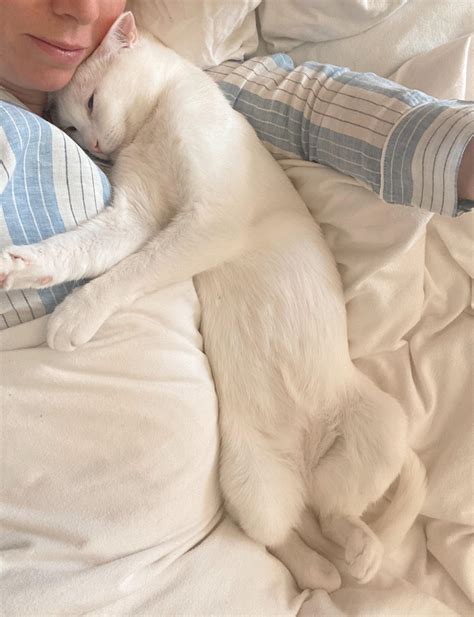 3150 best Drool images on Pholder | 196, Whats Wrong With Your Cat and