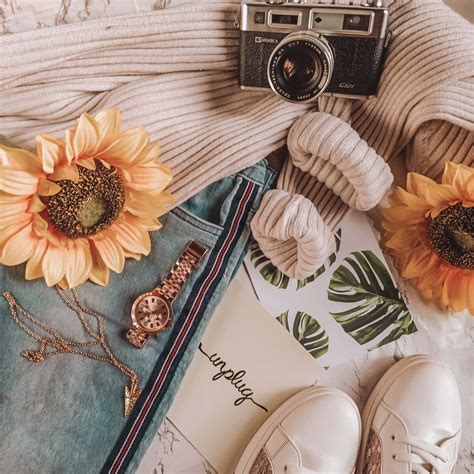 Aesthetic Fotografie – Komposition, Beleuchtung und Farbe