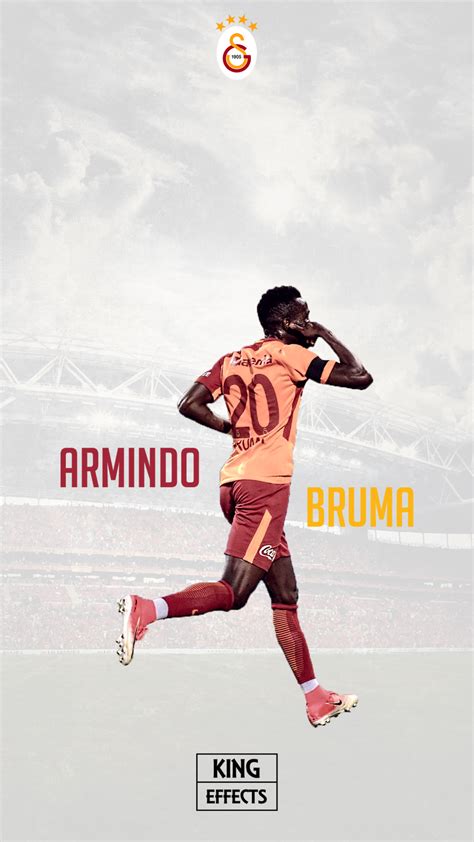 bruma  lionkinggraphics  deviantart