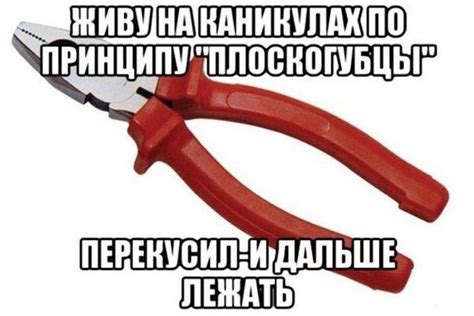 Анекдоты-новинки (16 шт) - 1. В магазине. Покупатель: Это ...