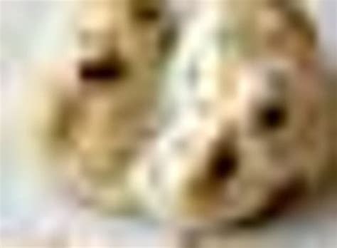 The shocking truth about bread | The Independent | The Independent