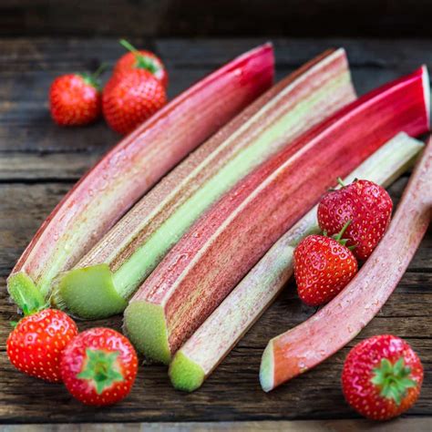 easy strawberry rhubarb recipes rootsy network