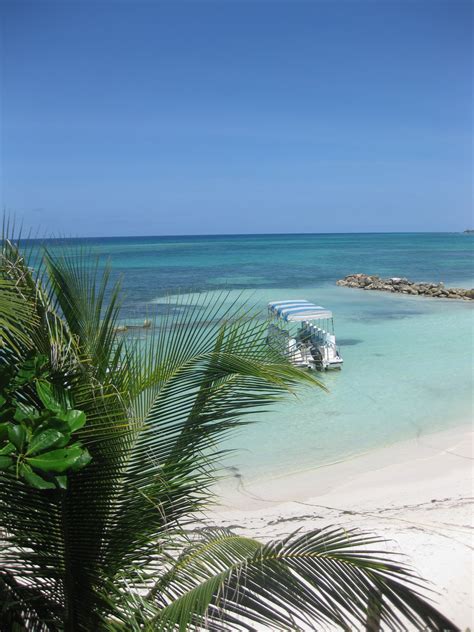 Go Nude N Resort Jamaica Newest Nude Resort | My XXX Hot Girl