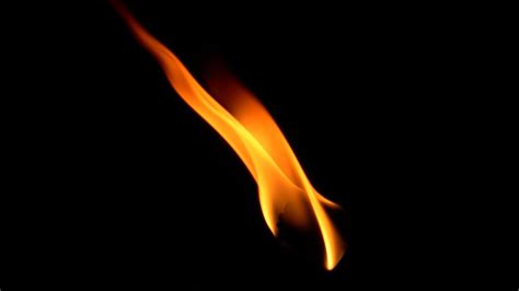 pintele yid stump  rabbi youtube