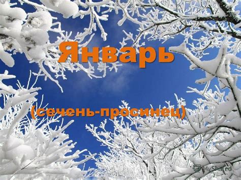 Презентация на тему: "Январь (сечень-просинец) Январь (сечень-просинец ...