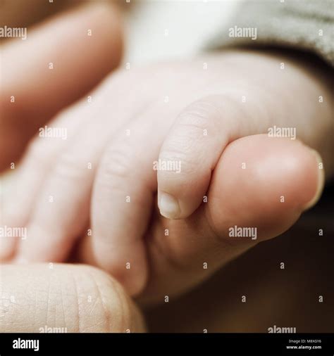 Mother and baby hand's Stock Photo - Alamy