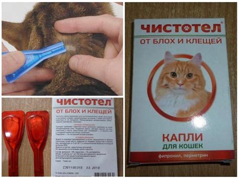 Средство от блох Чистотел: состав и инструкция по применению ...