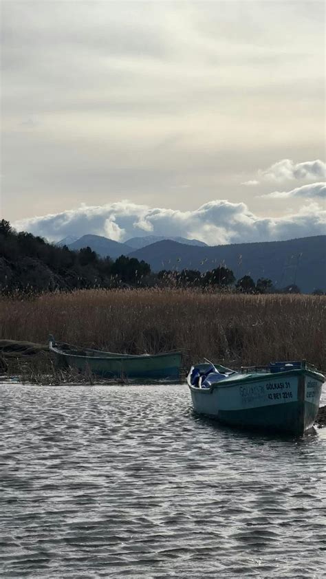 Pron Video Videos, Download The BEST Free 4k Stock Video Footage & Pron