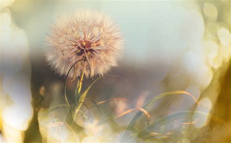 How to Create the Perfect Life