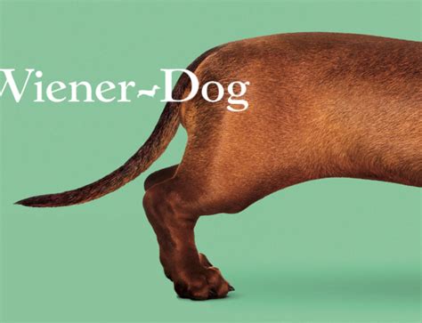 wiener-dog Archives – Soundfly