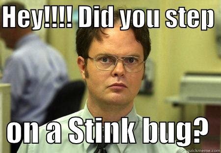 office stink bug probs quickmeme