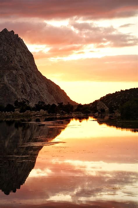 🔥 Gharial crocodiles can't sweat so they just open their mouths to stay