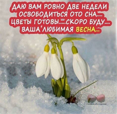 Пин от пользователя Наталия Николаева на доске Весна. | Весна ...
