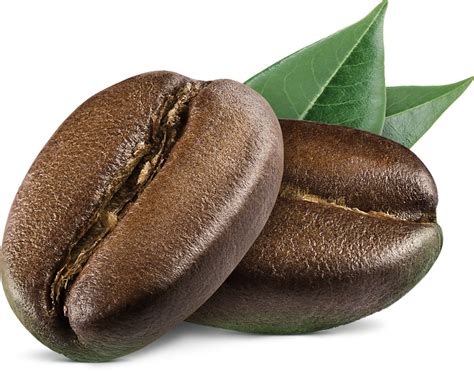 GMAC — Green Mountain Arabic Coffee – Official Website