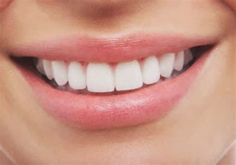 curiosidades sobre los dientes blog didactico