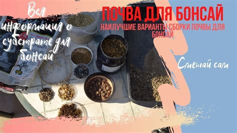 Почва для бонсай. Советы по выбору грунтовых смесей для выращивания ...