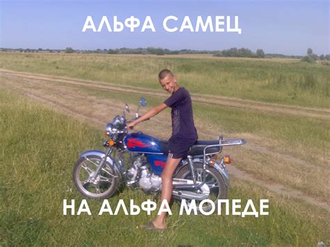 Альфа самец - кто это и как стать мужчине альфой