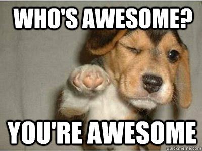 Who's awesome? you're awesome - Puppy Love - quickmeme