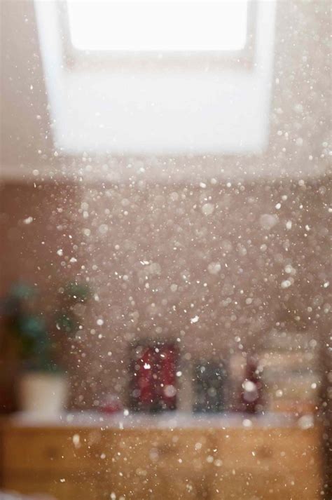 mold profile aspergillus mold facts servicemaster restore