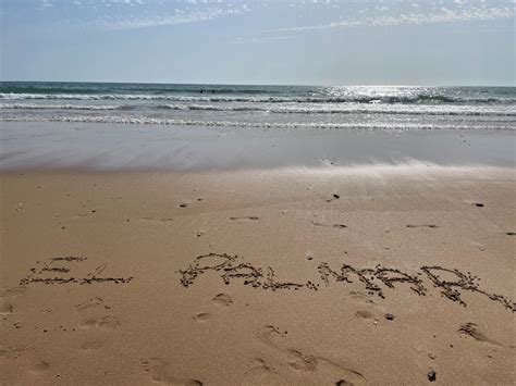 el palmar cadiz fkknaturist space
