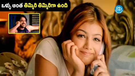 nagarjuna latest  anuska