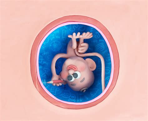 INSIDE MY MOMMY'S BELLY on Behance