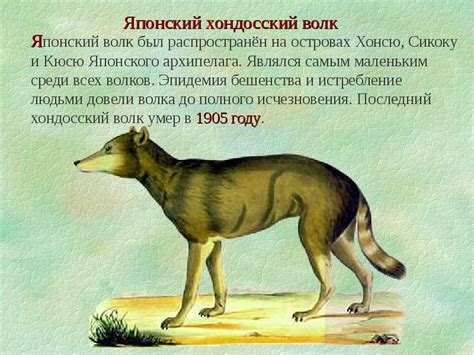 Вымершие по вине человека животные