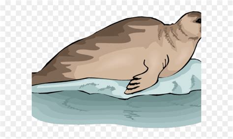 Original - Тюлень Клипарт Clipart (#41114) - PinClipart