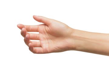 wrist images pikwizard