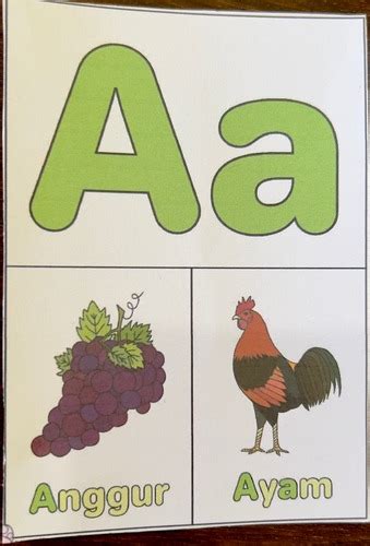 flashcard alfabet quizlet